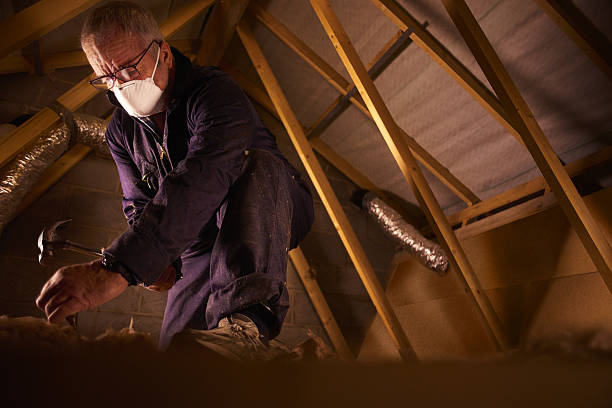 Best Energy Efficiency Insulation in Monroe, UT
